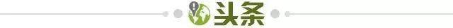 开云在线平台-【早报】伊万首秀在新加坡留下耻辱一战